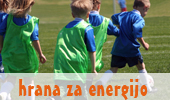 hrana za energijo