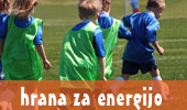 hrana za energijo